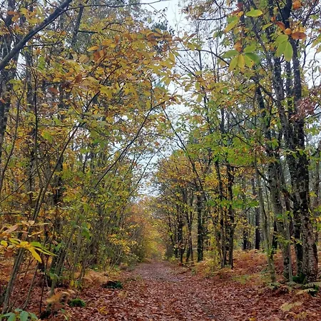 Avec Piscine, Vallee De La Loire Casa de Férias